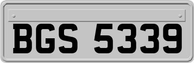 BGS5339