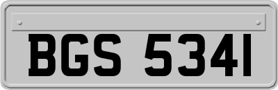BGS5341