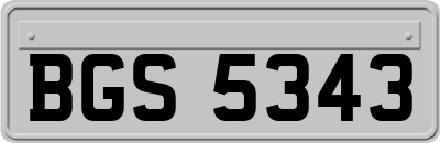 BGS5343
