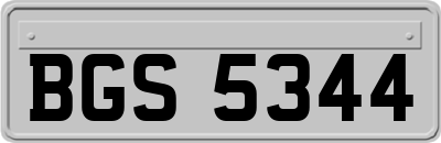 BGS5344