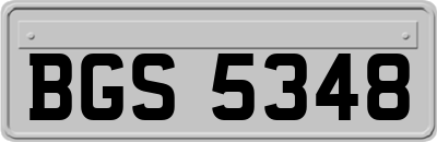 BGS5348