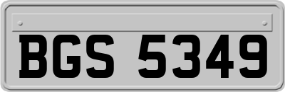 BGS5349