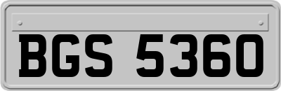 BGS5360