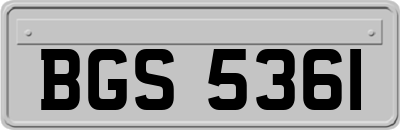 BGS5361