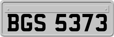 BGS5373