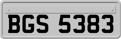 BGS5383