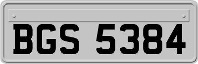BGS5384