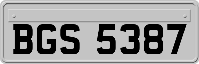 BGS5387