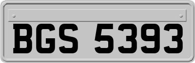 BGS5393