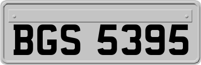 BGS5395
