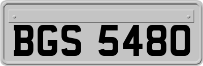 BGS5480