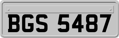 BGS5487