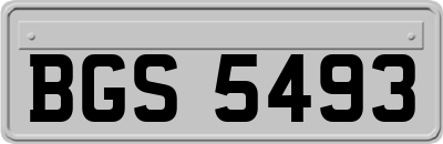 BGS5493