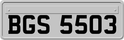 BGS5503
