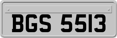 BGS5513