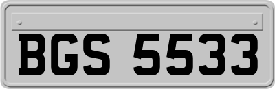 BGS5533