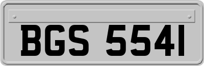 BGS5541