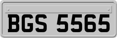 BGS5565