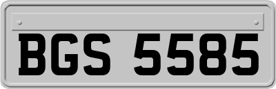 BGS5585