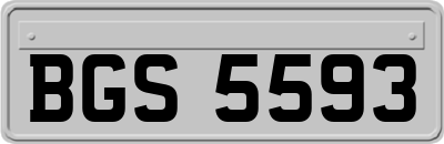 BGS5593