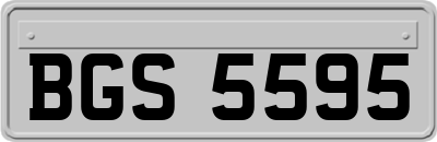 BGS5595