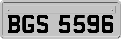 BGS5596