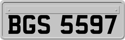 BGS5597