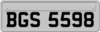 BGS5598