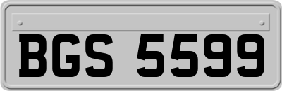 BGS5599