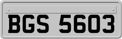 BGS5603
