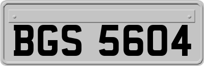 BGS5604