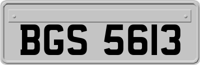 BGS5613