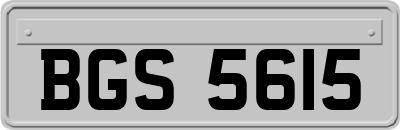 BGS5615