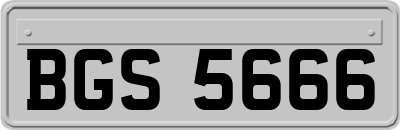 BGS5666