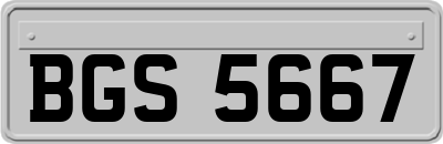 BGS5667