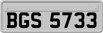 BGS5733