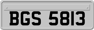 BGS5813