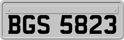 BGS5823