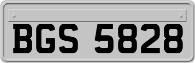 BGS5828
