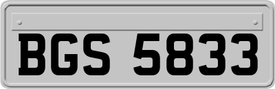 BGS5833