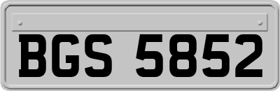 BGS5852