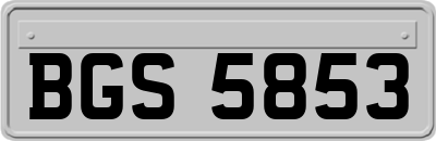 BGS5853