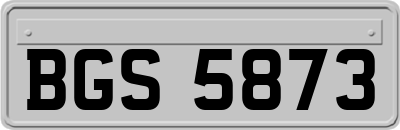BGS5873