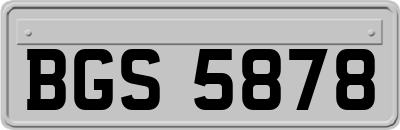 BGS5878