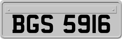 BGS5916