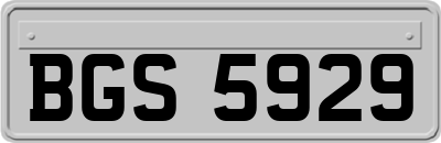 BGS5929