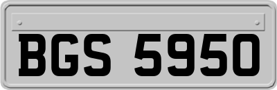 BGS5950