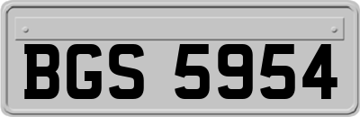 BGS5954