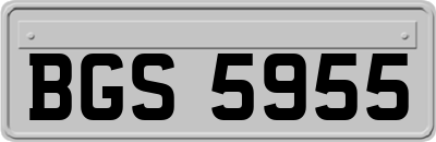 BGS5955