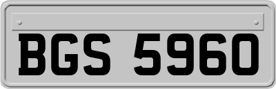 BGS5960